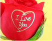 Romance
